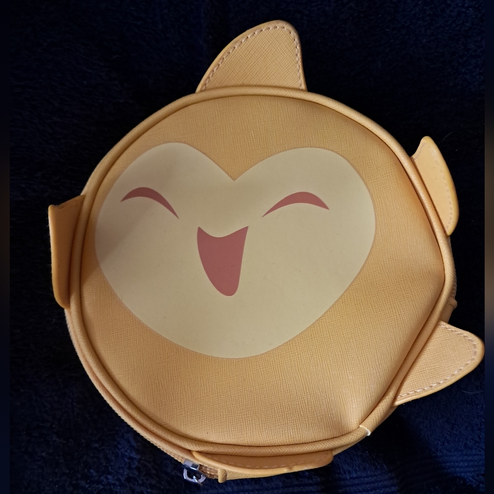 Disney Wish Star Pouch/Case
